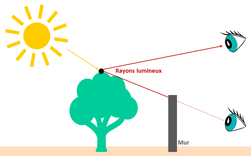 Figure 1 - Diffusion de la lumière