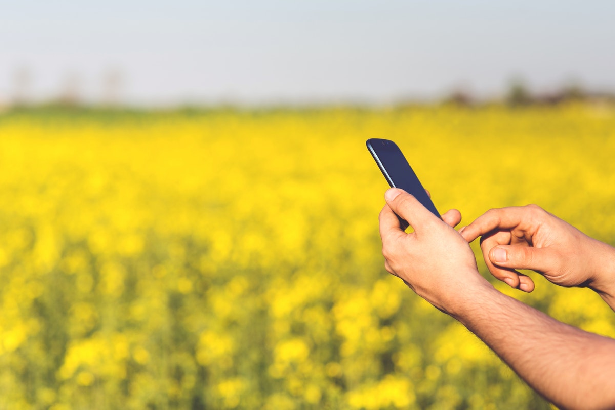 Comment les outils numériques facilitent le travail des agriculteurs