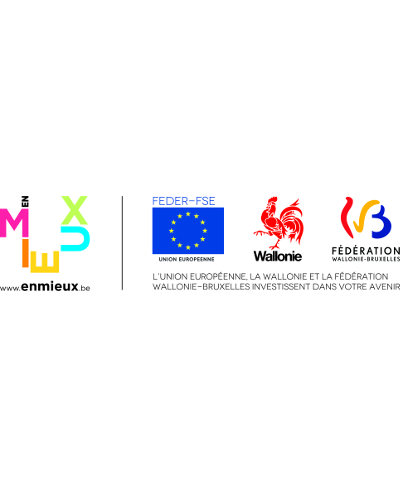 Logo FSE FEDER