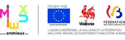 Logo FSE FEDER