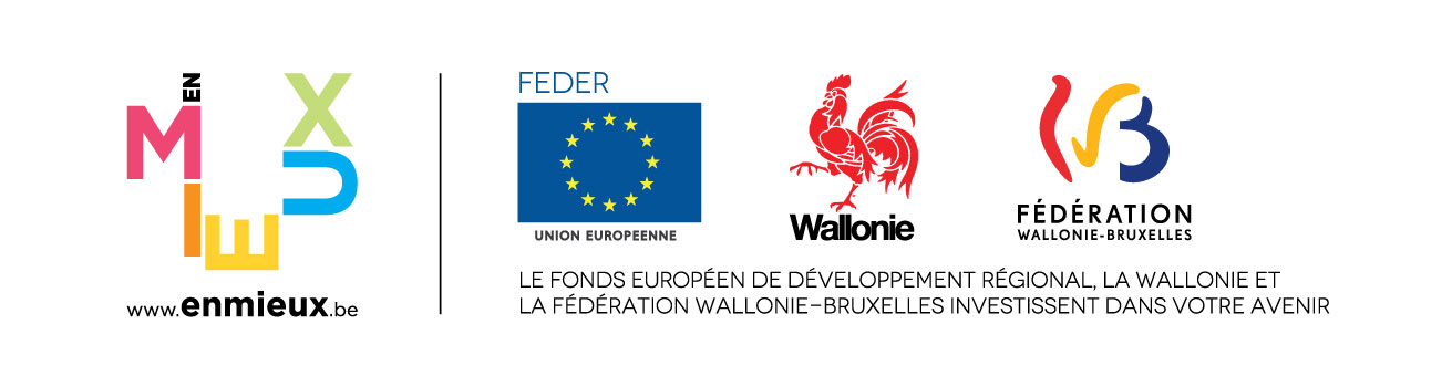 logo_FEDER+wallonie+FWB