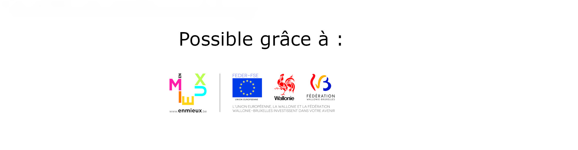 Possible grâce à Fédération wallonie Bruxelles, Wallonie, Europe, Enmieux